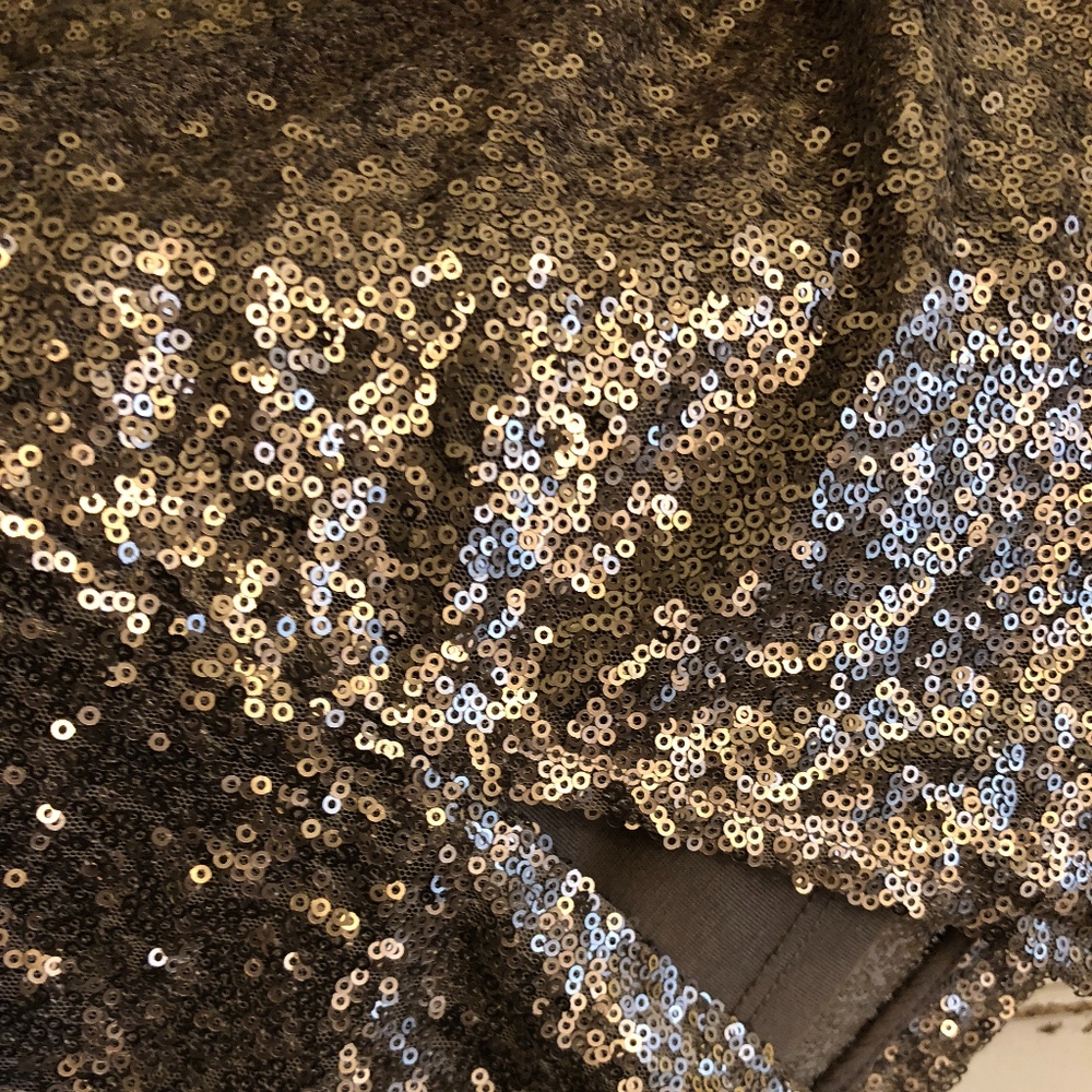 Silver Sequined Skirt